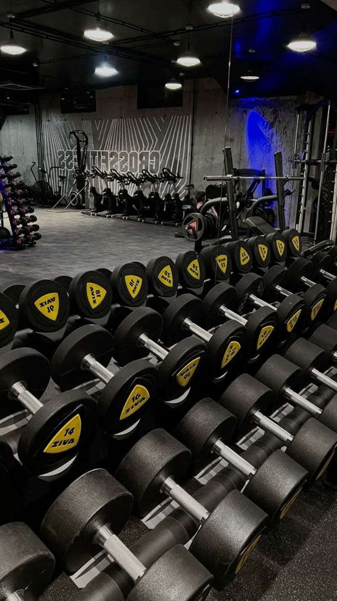 Free weights area with dumbbells and racks